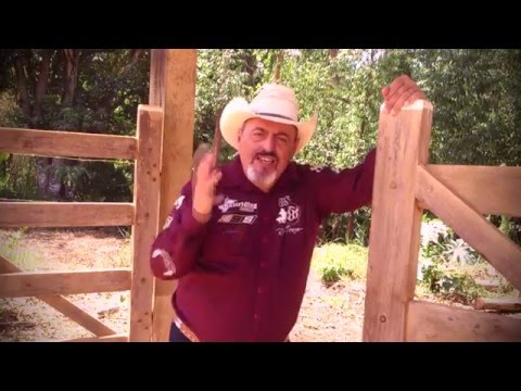 Dallas Company - Vem dançar comigo