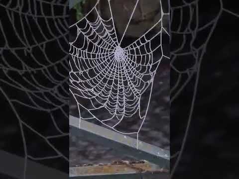 12.01.2022  🥶🥶🥶🥶🤔