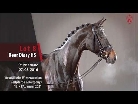 Trainingsvideo Winterauktion Lot 8 Dear Diary HS Stute v. Don Romanov -   Sandro