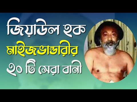 জিয়াউল হক মাইজভান্ডারীর ২০টি বানী Baba Bhandari Jindabad | বাবা ভান্ডারী জিন্দাবাদ