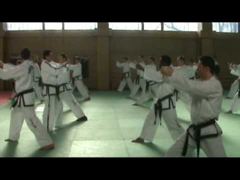 Grand master Hwang Ho yong