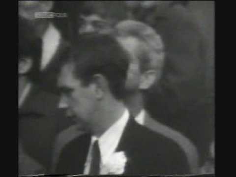 The Golden Vision - part 8