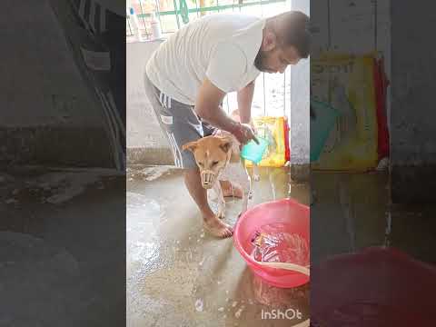 bath time 😁😁❤️❤️♥️❤️❤️