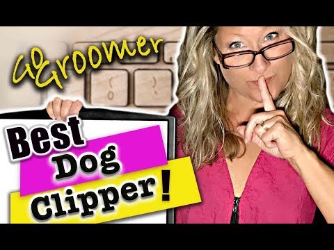 What is the Best Clipper for your Dog-Secrets you did not know