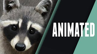 Animation | Look Before You Leap: Remastered