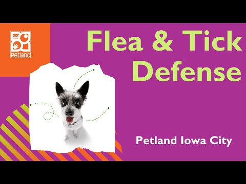 Flea & Tick Defense