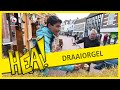 HEA! Marwan en opa Dick draaien door