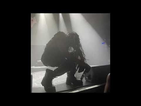 [FREE] playboi carti x destroy lonely x sample type beat "fall down on us"