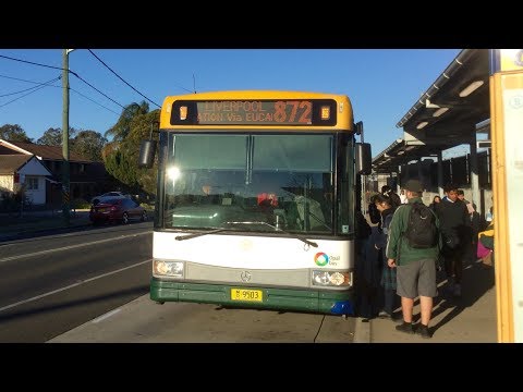 Interline Bus Services: m/o 9503 - Mercedes-Benz O500LE Bustech VST