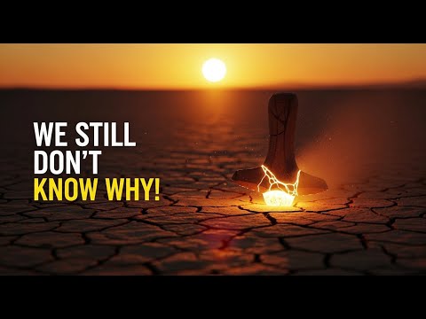 Archaeologists Are Stumped: The Ancient Tool Humans Made for 1.5 Million Years