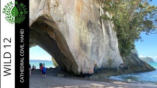Cathedral Cove Reopens! A Stunning Return After Cyclone Gabrielle 🌊- filmed December 2024