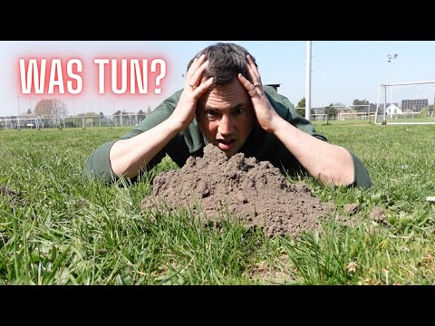 Maulwürfe & Wühlmäuse vertreiben | das große Experiment