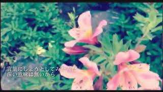 ■ きかせたいのは　歌ってみた / びっと