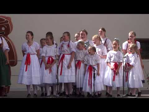 Pořad: FOLKLORNÍ ŠKOLIČKA, č.6/7 - Sejkorky ze Slatiňan - Haj, husičky / FF Pardubice 2023