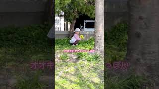 お花見にきたけど💦2歳11ヶ月 #双子育児 #成長記録