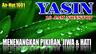 Download lagu SURAT YASIN MERDU SEKALI 10 JAM, MELANCARKAN USAHA,MEMBUAT HATI TENANG,DIJAUHKAN DARI GANGGUAN SETAN mp3 Download lagu SURAT YASIN MERDU SEKALI 10 JAM, MELANCARKAN USAHA,MEMBUAT HATI TENANG,DIJAUHKAN DARI GANGGUAN SETAN mp3