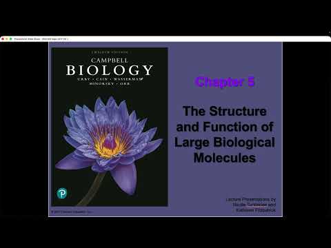 BIO105 Introductory Biology, Wed., Sept., 28th, David Champlin, USM