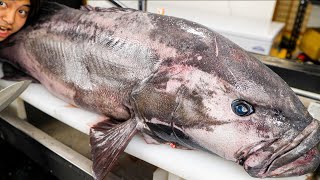 食べたら下痢が止まらなくなる巨大魚を爆食いしてみたら。。。