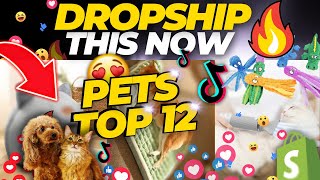 Top 12 Winning Products To Dropship RIGHT NOW 2023 | PETS NICHE
