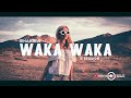 Shakira Waka Waka 2023 D Session Remix