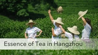 Longjing Tea (Dragon Well) ceremony experience in Hangzhou, China