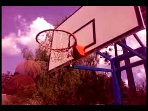 Petya Pivnik basketball