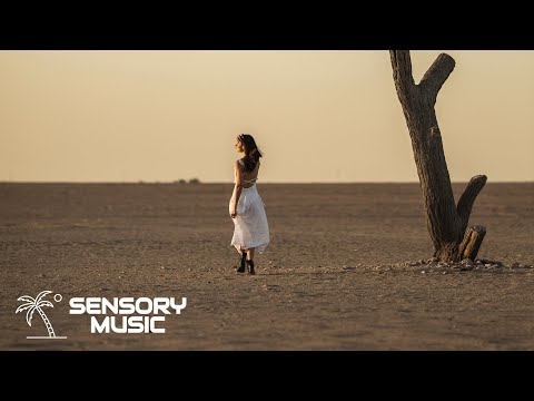 Rene Rodrigezz & Tristan Henry - Let Me Go