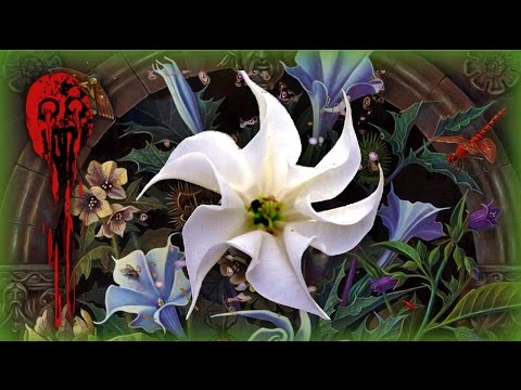 5 Terrifying Datura Trip Stories