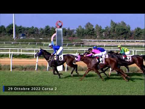 Galoppo Corse del 29 Ottobre 2022