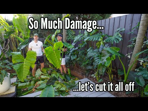Massive Garden Clean-up after Winter