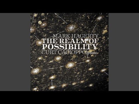 The Realm Of Possibility: Facets
