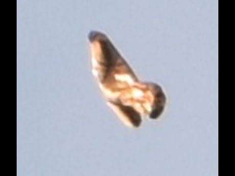 UFO - NYC - 2016 08 11 - By Koosmyk