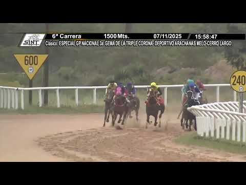11/7/2025 – Hipodromo Melo – Carr 6 – ESPECIAL GP NACIONAL 3a. GEMA DE LA TRIPLE CORONA...