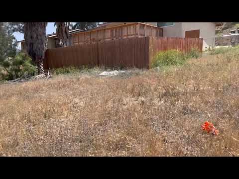 15 & 16 Riverside Dr. Lake Elsinore CA 92530