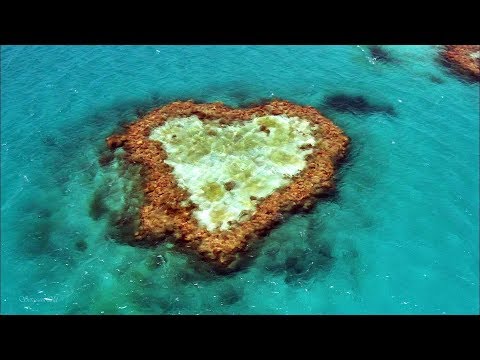 ♪ Stive Morgan - If Will Come Tomorrow