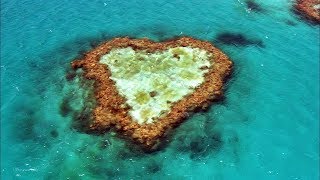 Stive Morgan - If Will Come Tomorrow