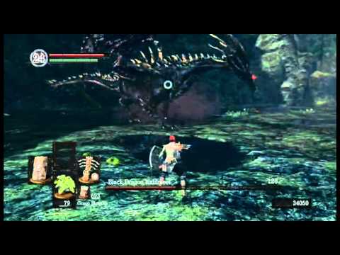 Dark Souls: SL12 vs NG+6 Kalameet (Featuring a Not-So-Awake Rishain)