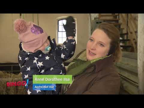 Alte Haustierrassen auf dem Archehof