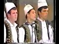 Janinës çi Panë Sytë Grupi I Lapardhas