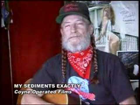 Almost Willie Nelson - My Sediments Exactly