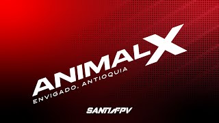 Animal X - Templo Envigado (FPV drone)