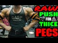 DS DAY 17 | GROWING A BIG THICK CHEST RAW PUSH WORKOUT