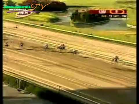 LA RINCONADA 8 CARRERA, DOMINGO 21 DE SEPTIEMBRE DEL 2014