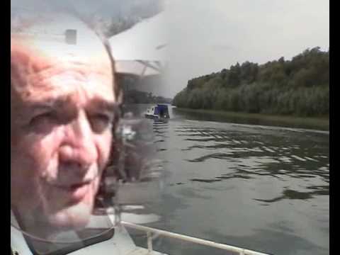 DRAGAN TOKOVIC Rastao sam pored Dunava