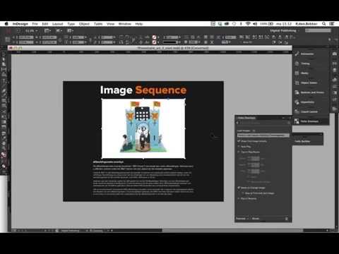 DPS007 ImageSequence NIEUW