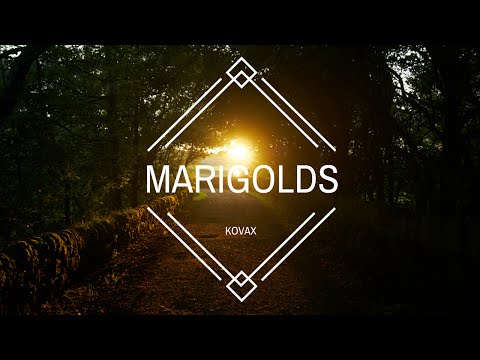 Kovax - Marigolds (Official Video)