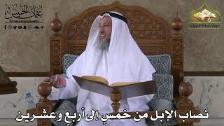 404 - نصاب الإبل من خمس إلى أربع وعشرين - عثمان الخميس