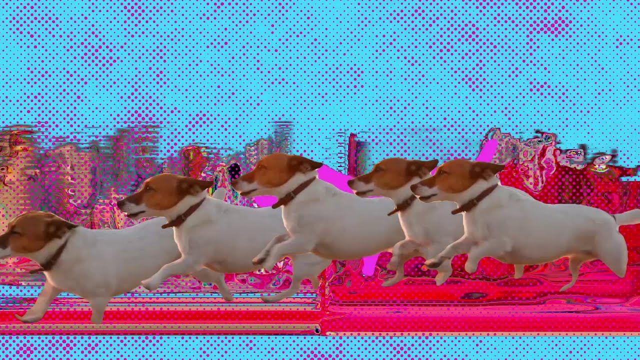 Panda Bear - Praise (Official Video) - YouTube