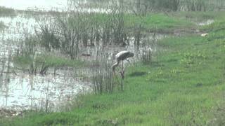 Hisar Village at a Glance