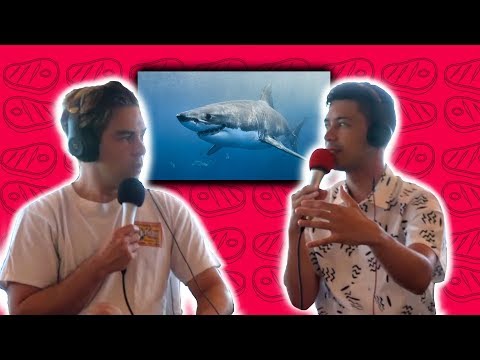 Noel survives a shark attack